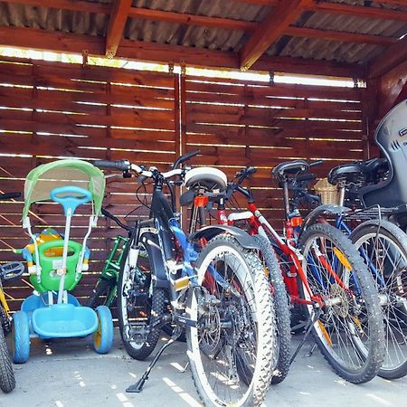 Camping Nr 61 Elblag Eksteriør bilde